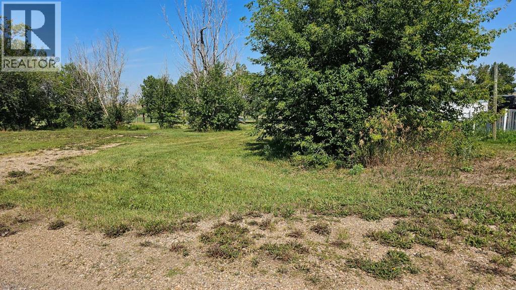 5218 Imperial Lane, Coronation, Alberta  T0C 1C0 - Photo 2 - A2165464