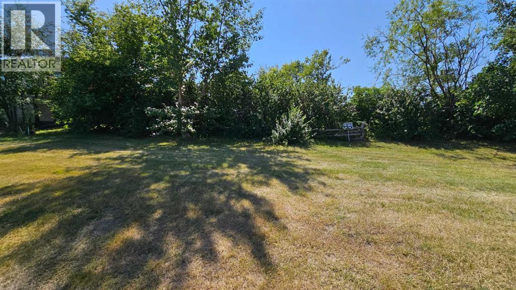 5222 Imperial Lane, Coronation, Alberta  T0C 1C0 - Photo 3 - A2165465