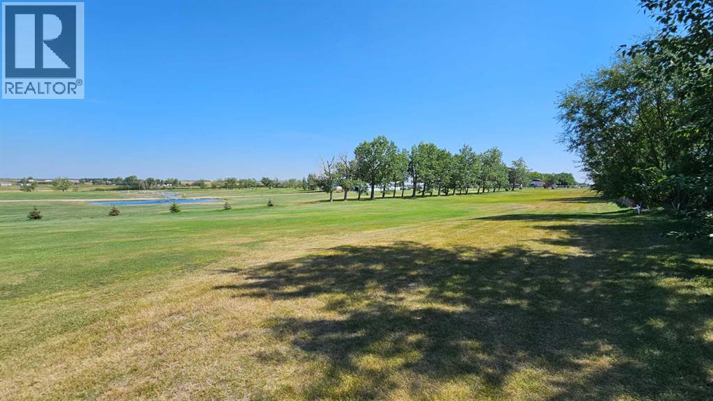 5222 Imperial Lane, Coronation, Alberta  T0C 1C0 - Photo 4 - A2165465
