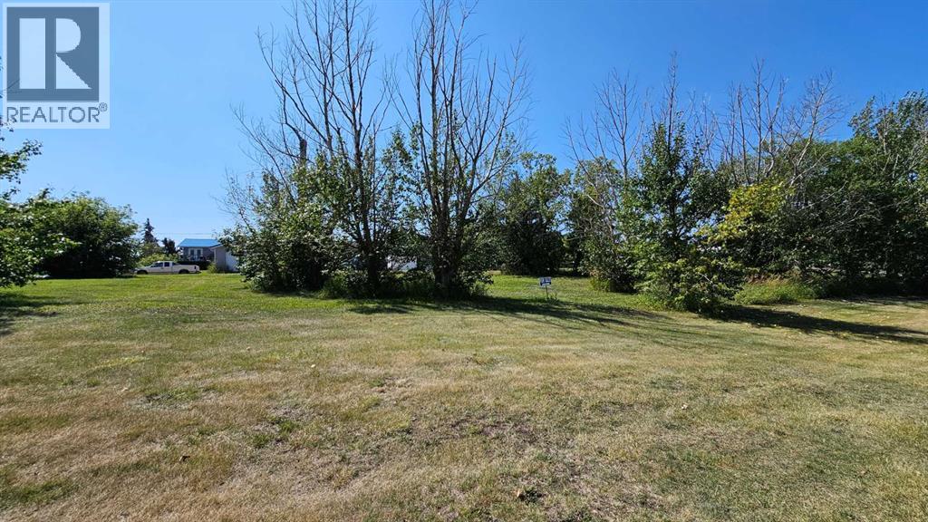 5222 Imperial Lane, Coronation, Alberta  T0C 1C0 - Photo 2 - A2165465