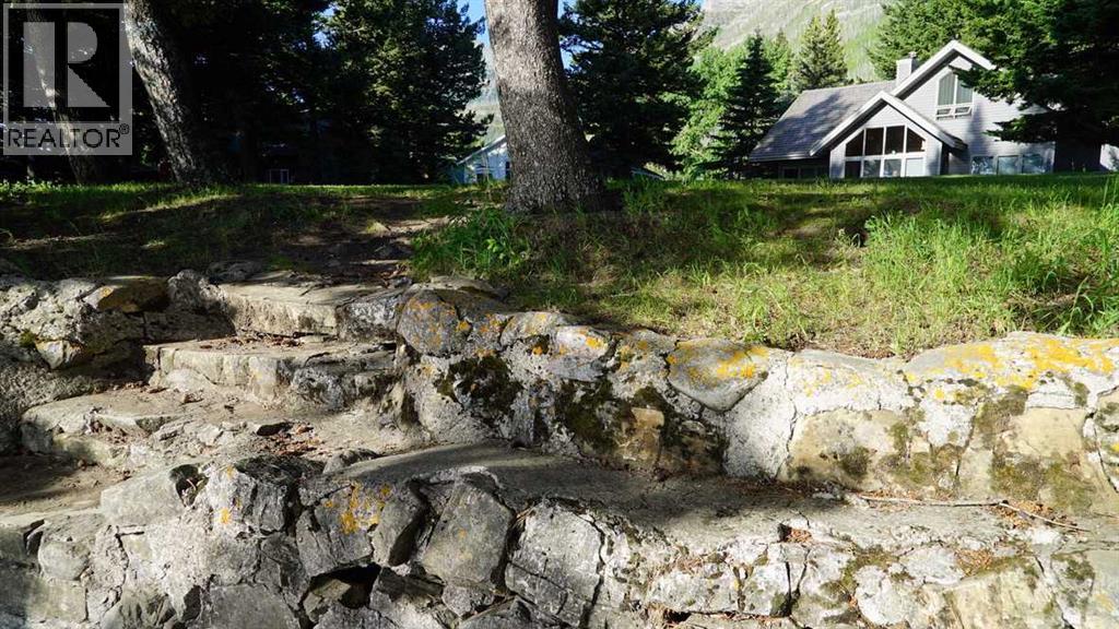 107 Mount View, Waterton Park, Alberta  T0K 2M0 - Photo 3 - A2246355