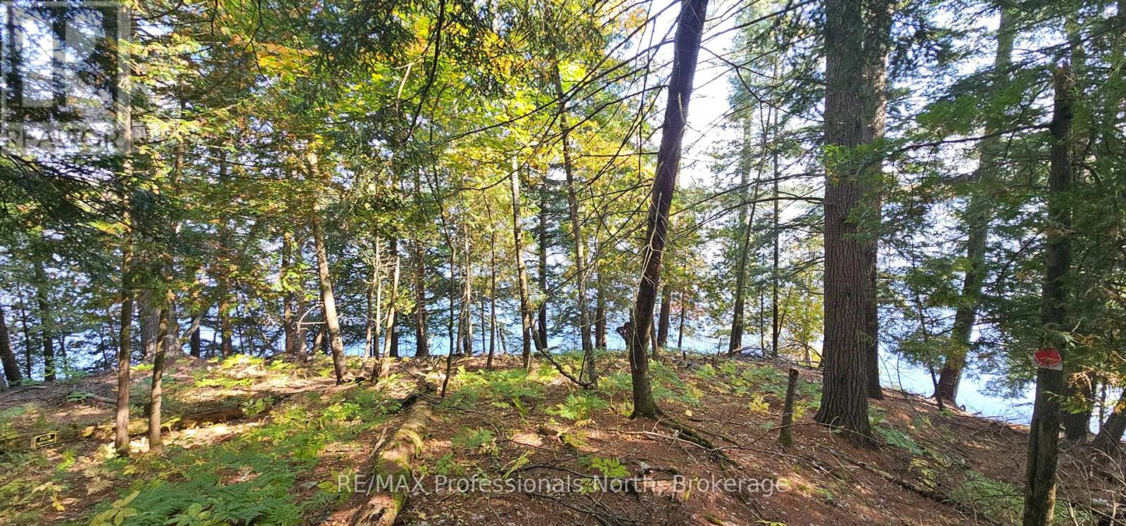 416 SWALLOWDALE ROAD, Huntsville, Ontario