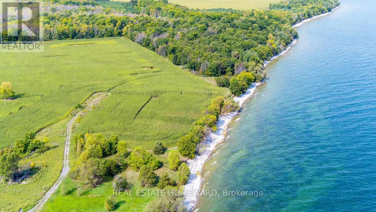 138 Jarvis Lane, Prince Edward County, Ontario  K0K 2T0 - Photo 7 - X12417062