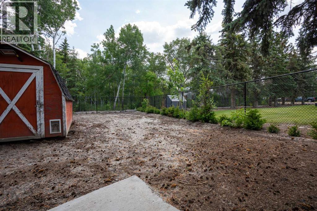 119 3rd Avenue W, Alliance, Alberta  T0B 0A0 - Photo 38 - A2230246