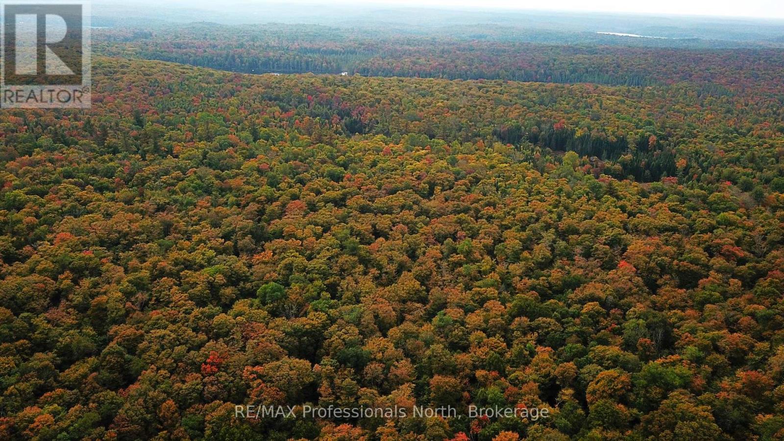 00 SOUTH HORN LAKE ROAD, magnetawan, Ontario