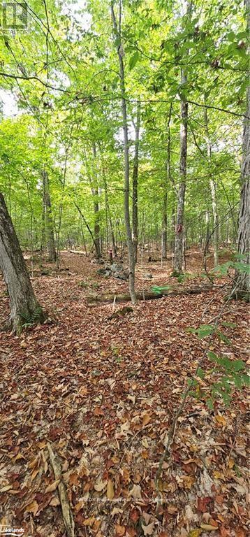 00 South Horn Lake Road, Magnetawan, Ontario  P0B 1C0 - Photo 2 - X12417425