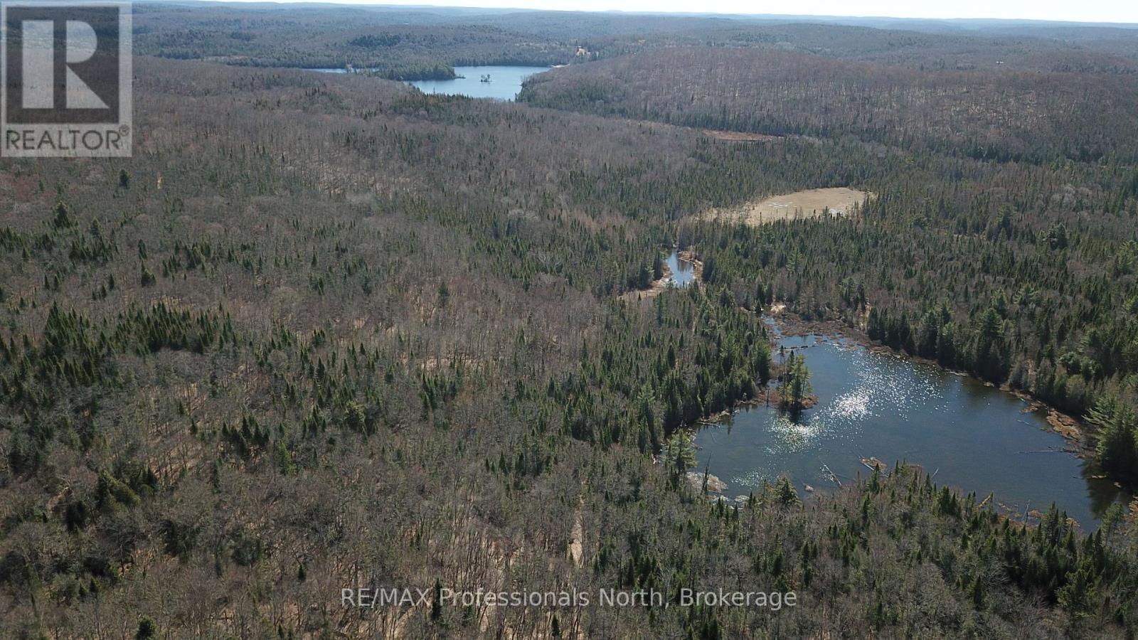 00 South Horn Lake Road, Magnetawan, Ontario  P0B 1C0 - Photo 3 - X12417425