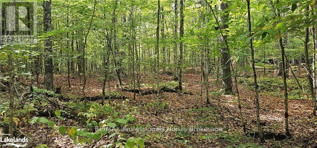 00 South Horn Lake Road, Magnetawan, Ontario  P0B 1C0 - Photo 6 - X12417425