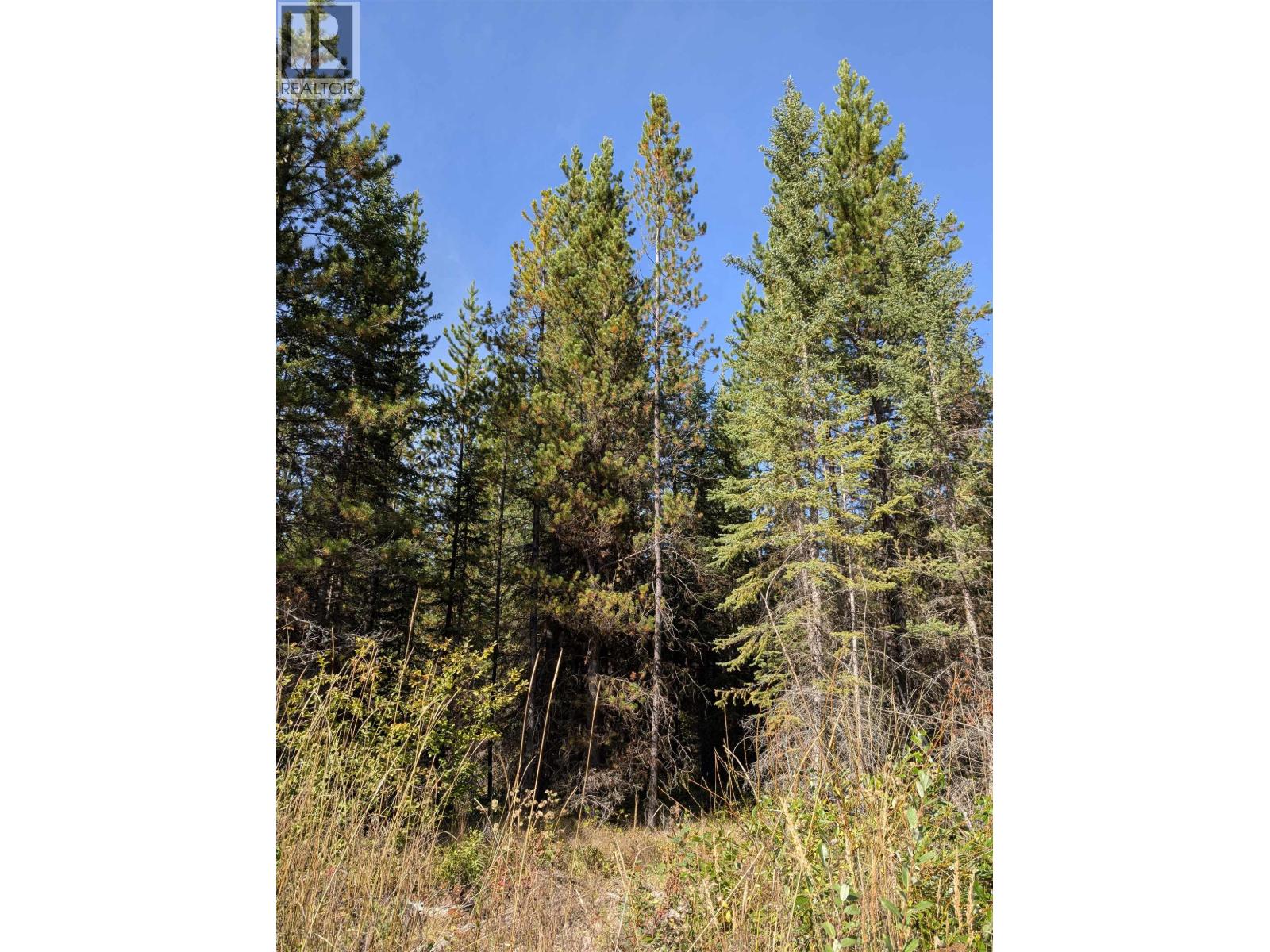 Dl 4185 Kaykay Forest Service Road, Prince George, British Columbia  V2K 5N2 - Photo 11 - R3050328