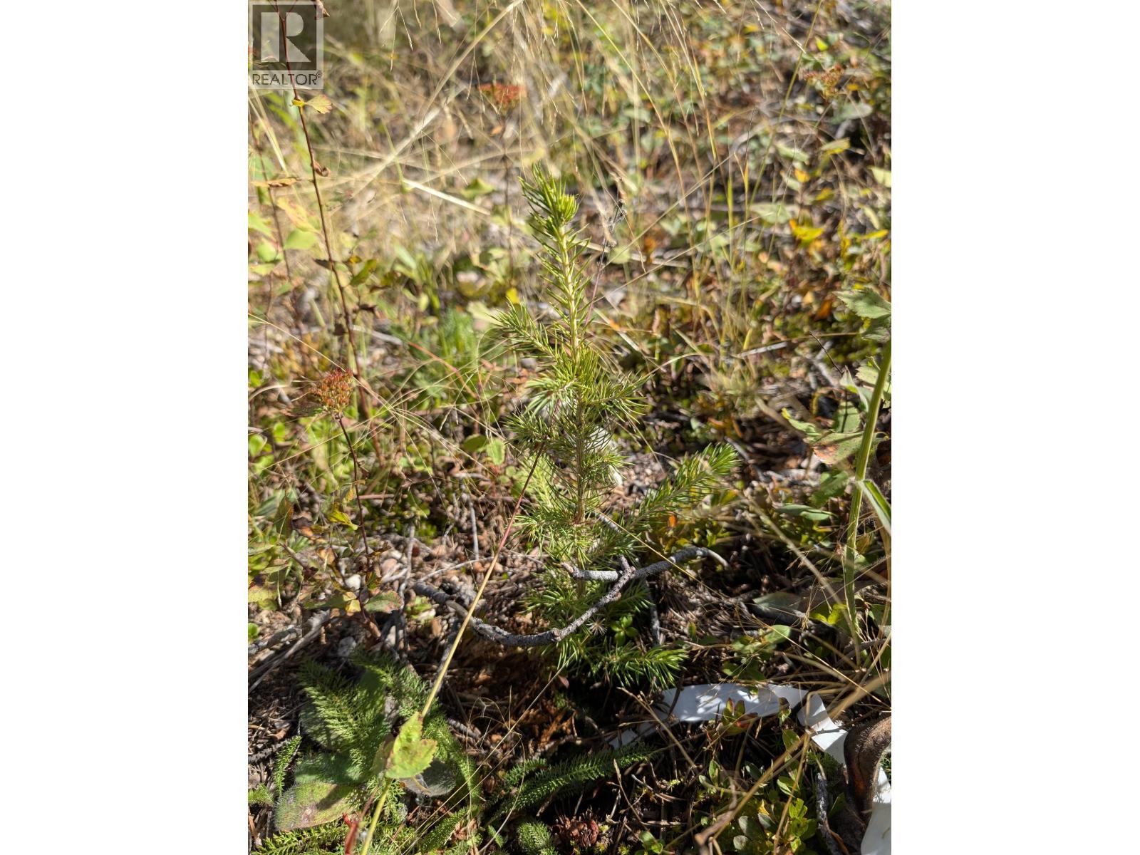 Dl 4185 Kaykay Forest Service Road, Prince George, British Columbia  V2K 5N2 - Photo 7 - R3050328