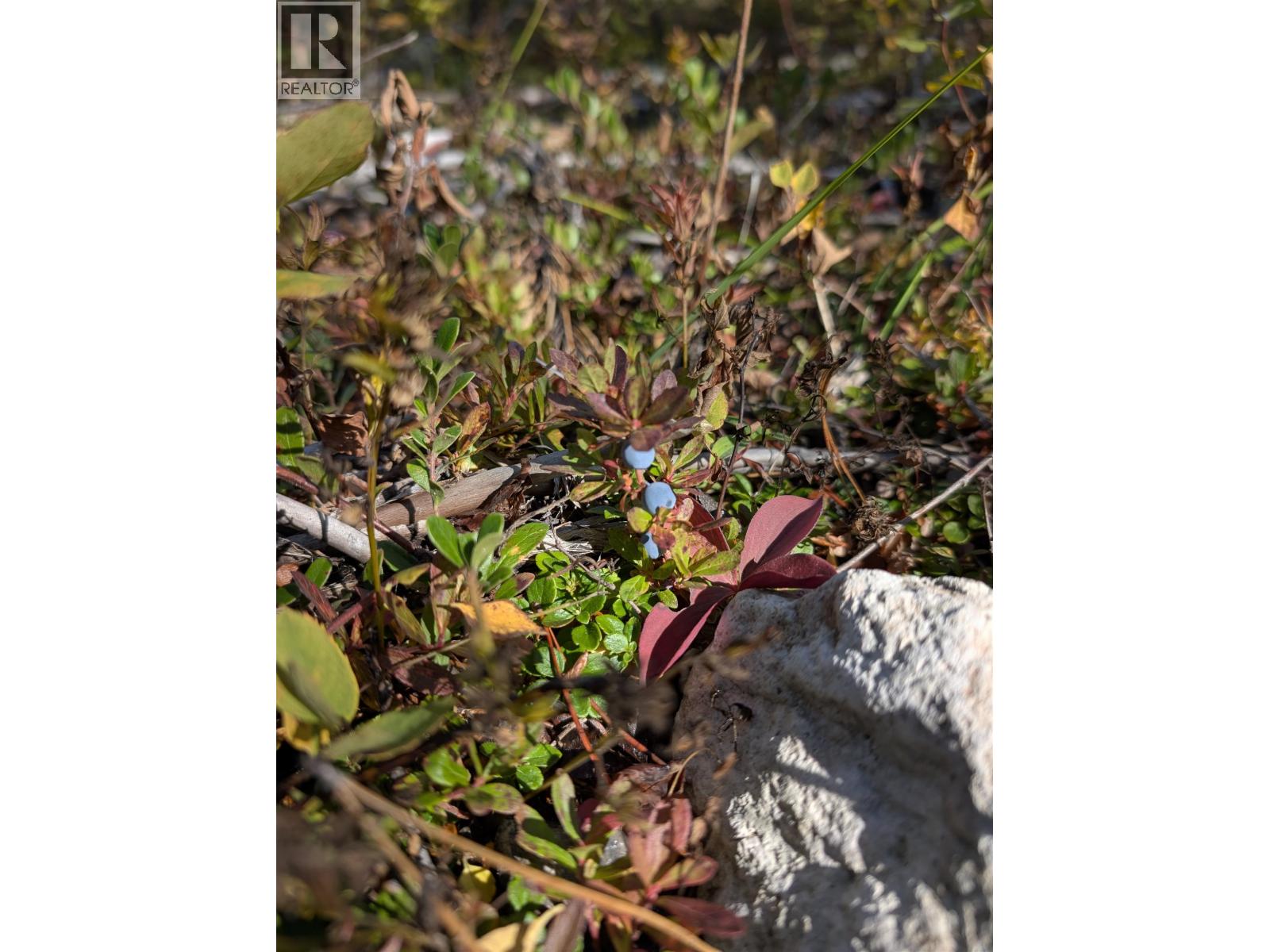 Dl 4185 Kaykay Forest Service Road, Prince George, British Columbia  V2K 5N2 - Photo 8 - R3050328