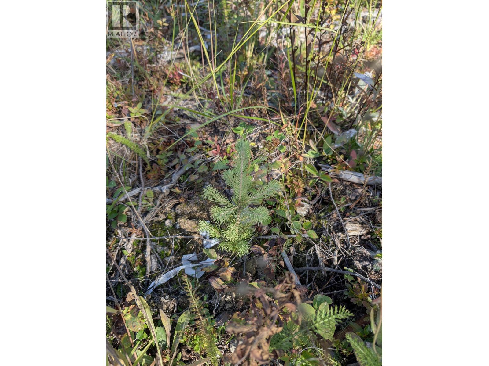 Dl 4185 Kaykay Forest Service Road, Prince George, British Columbia  V2K 5N2 - Photo 9 - R3050328