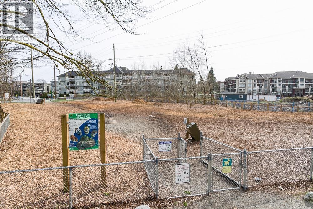 302 2353 Marpole Avenue, Port Coquitlam, British Columbia  V3C 2A1 - Photo 39 - R3045547