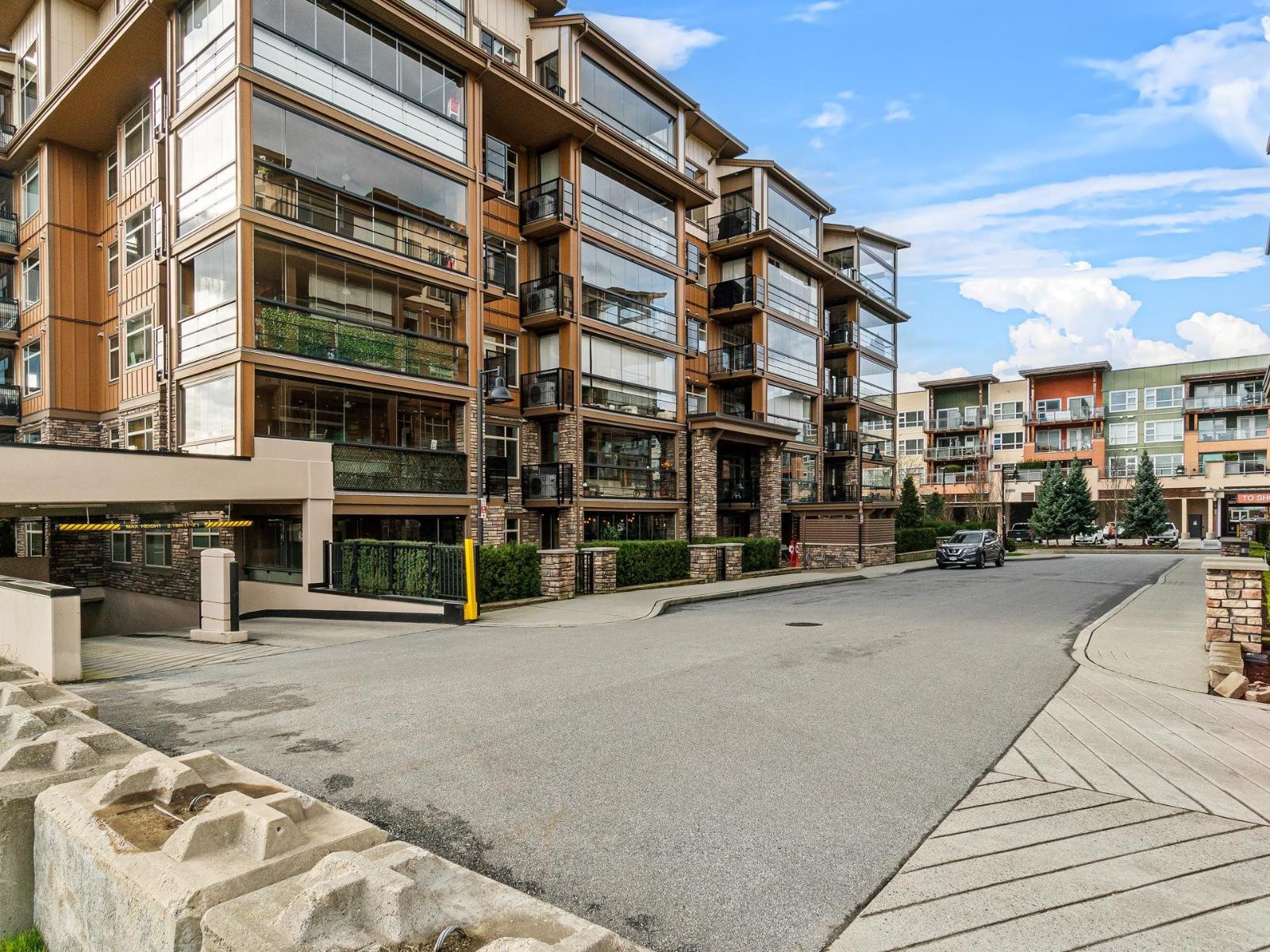 A113 20716 Willoughby Town Centre Drive, Langley, British Columbia  V2Y 3J7 - Photo 3 - R3040787