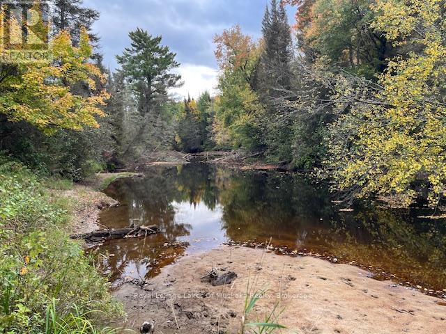 121 Proudfoot Road, Kearney, Ontario  P0A 1Z0 - Photo 3 - X12390874