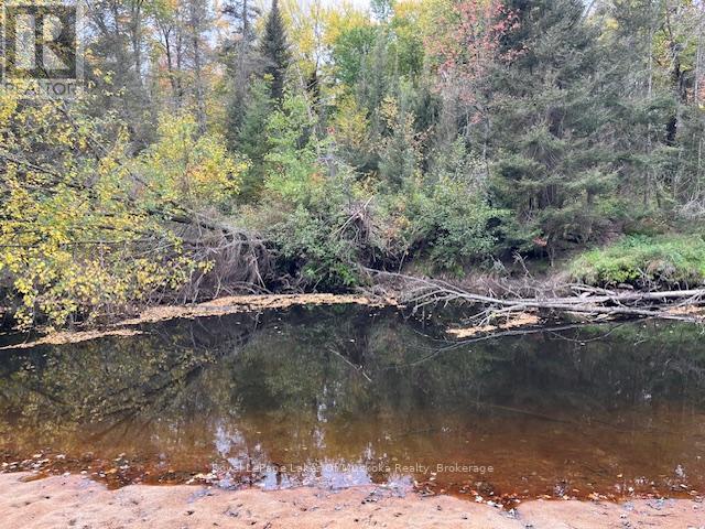 121 Proudfoot Road, Kearney, Ontario  P0A 1Z0 - Photo 4 - X12390874