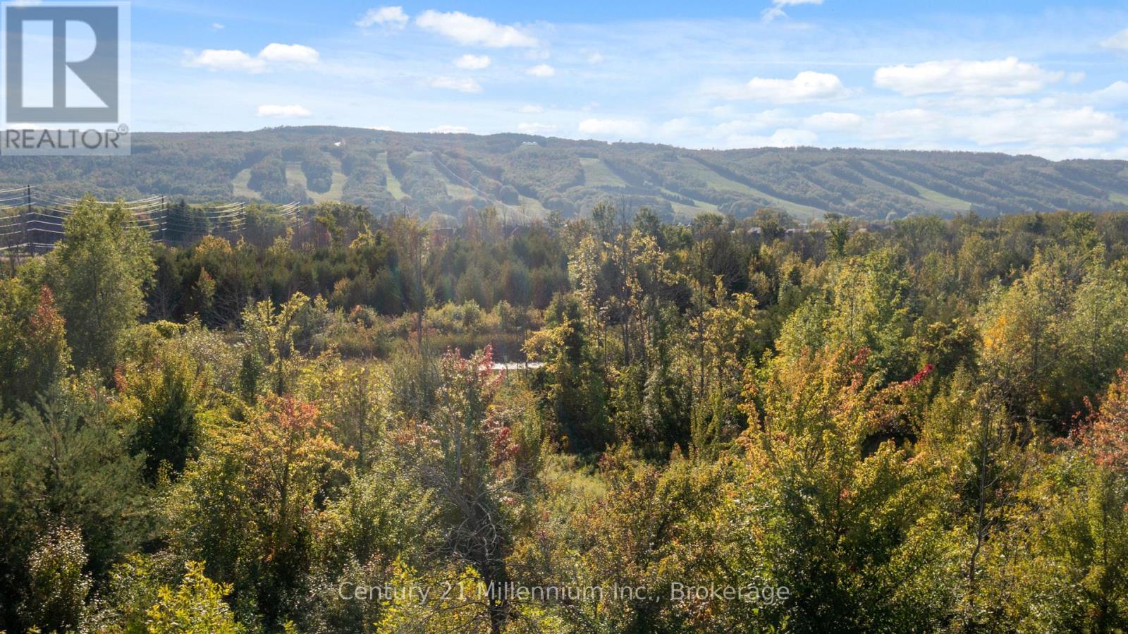 306 - 20 Beckwith Lane, Blue Mountains, Ontario  L9Y 0R4 - Photo 43 - X12417604