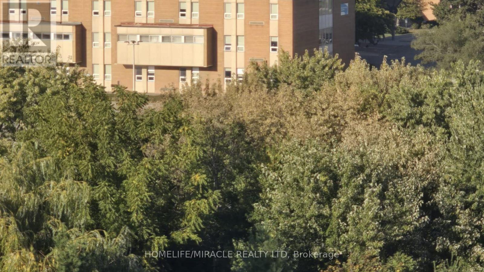 715 - 7405 Goreway Drive, Mississauga, Ontario  L4T 0A3 - Photo 19 - W12417593
