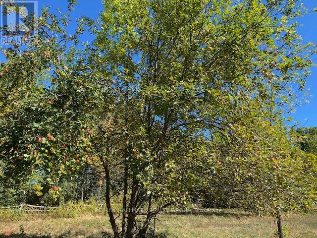 Lot 28 R13 Road, Rideau Lakes, Ontario  K0G 1L0 - Photo 16 - X12376764