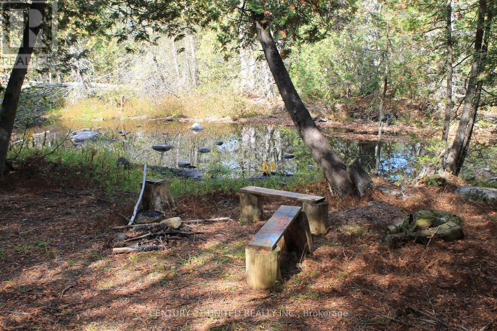 257 10th Line Rd South Dummer Road, Douro-Dummer, Ontario  K0L 2V0 - Photo 11 - X12417641