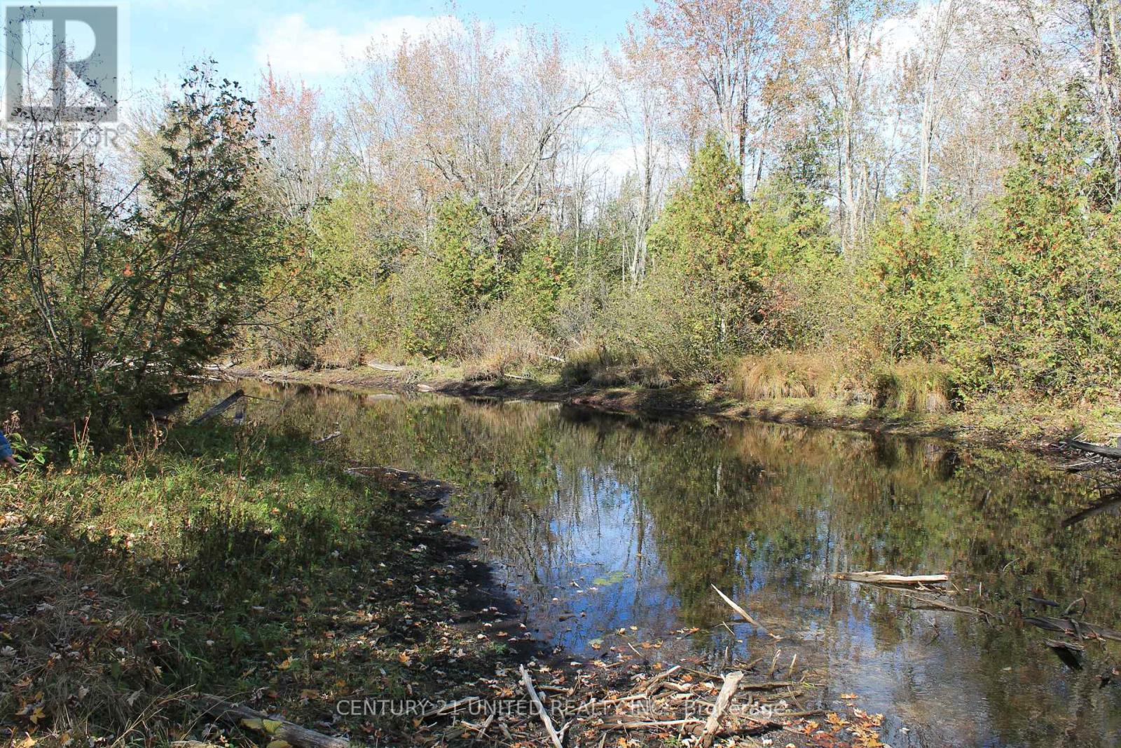 257 10th Line Rd South Dummer Road, Douro-Dummer, Ontario  K0L 2V0 - Photo 12 - X12417641