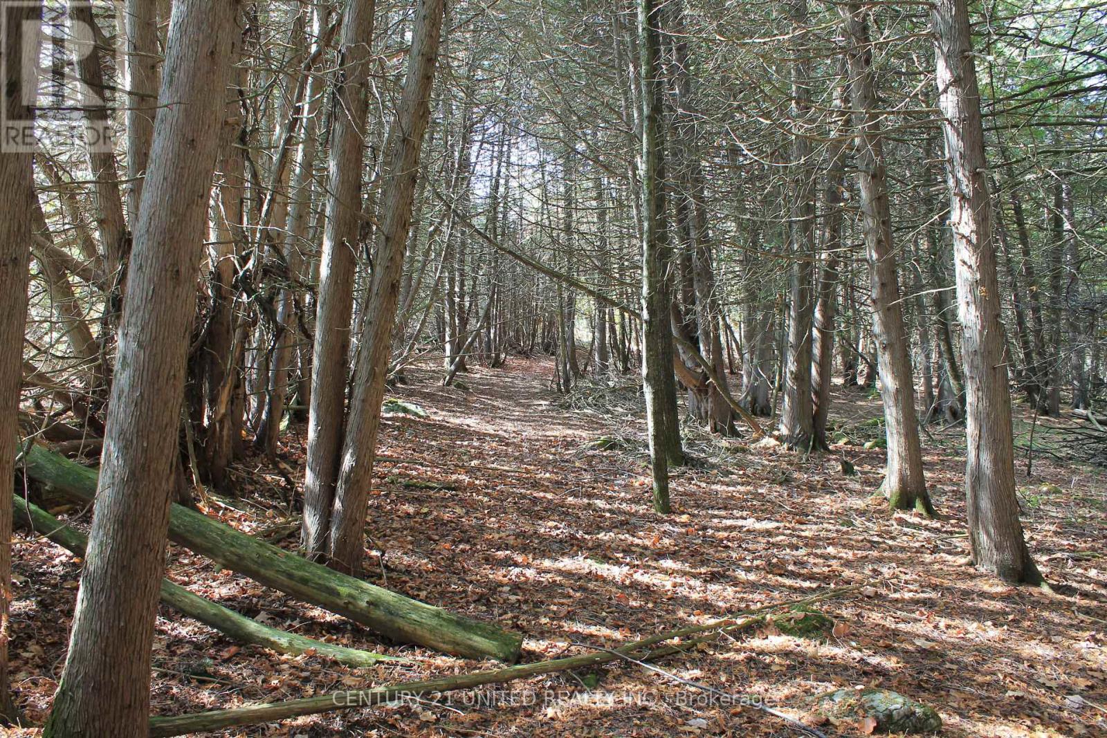 257 10th Line Rd South Dummer Road, Douro-Dummer, Ontario  K0L 2V0 - Photo 13 - X12417641