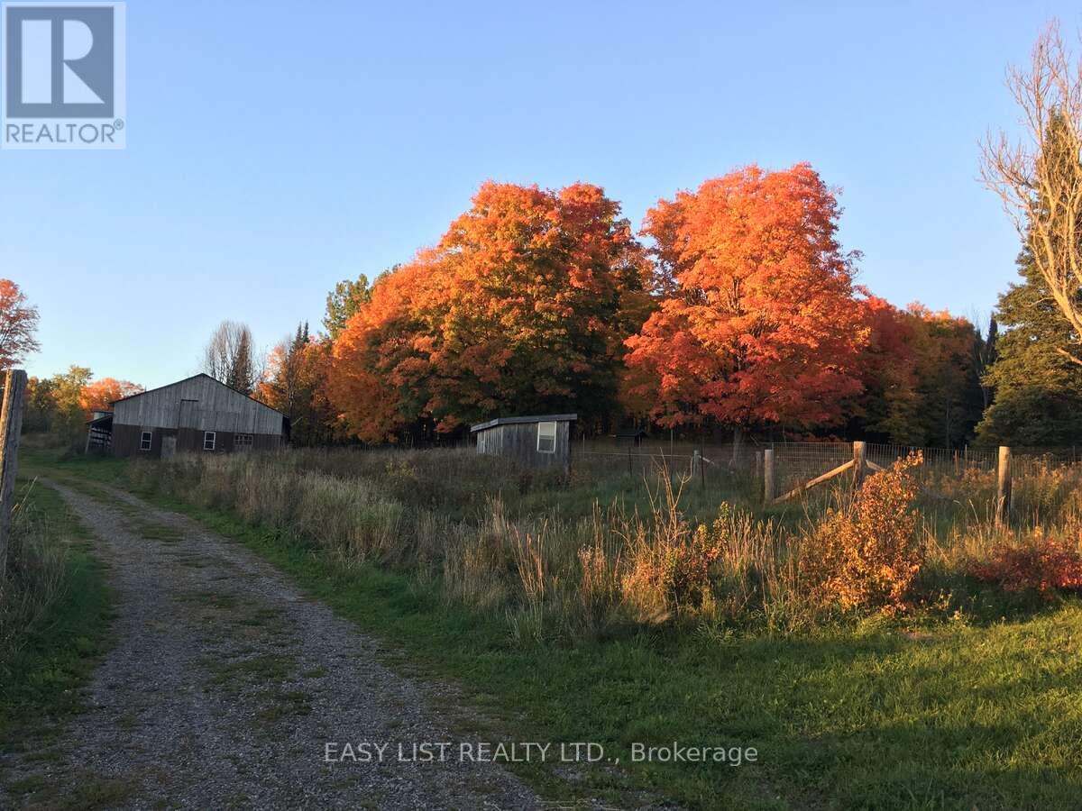 2170 Highway 520 W, Ryerson, Ontario  P0A 1C0 - Photo 28 - X12417643