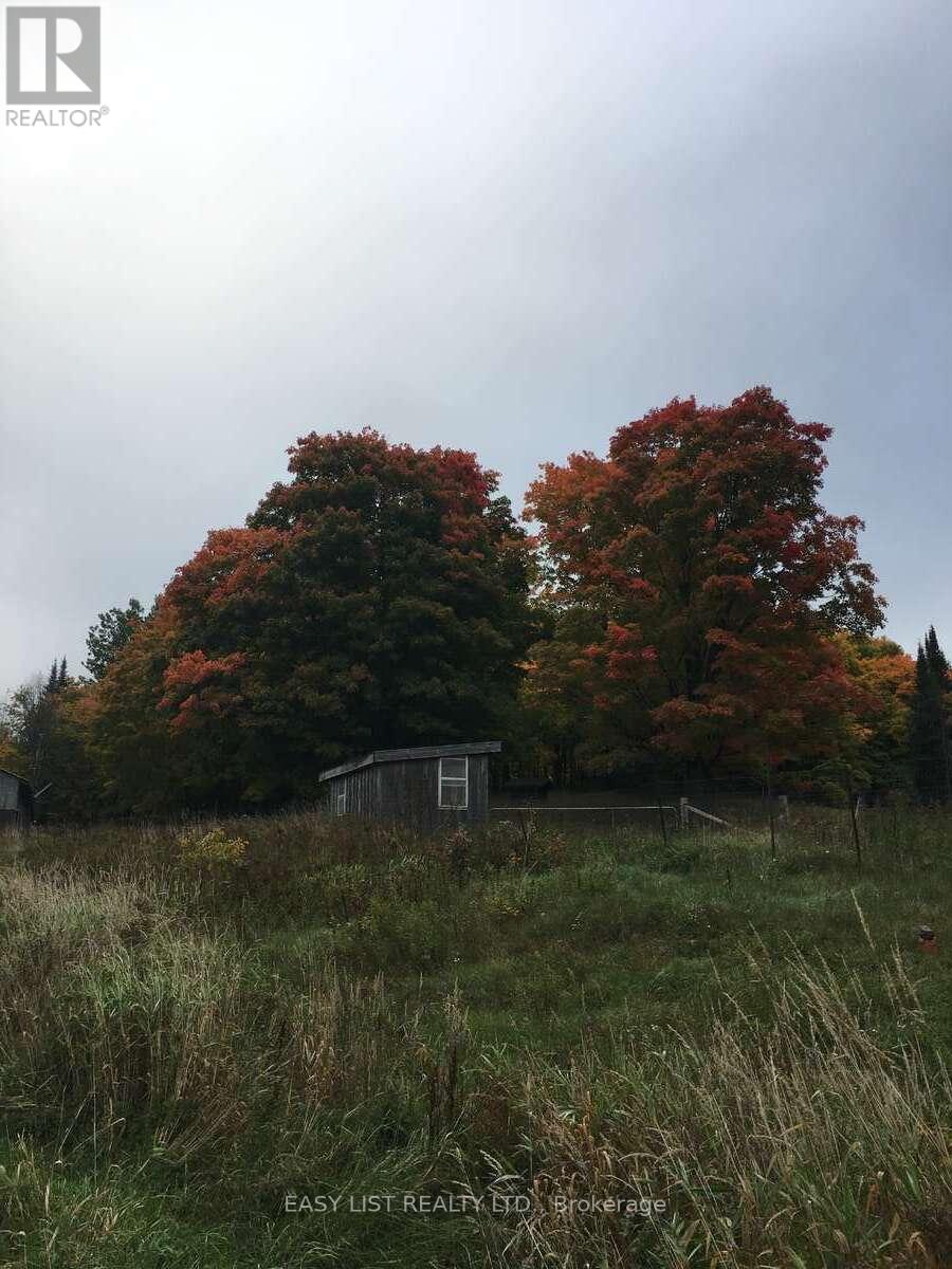 2170 Highway 520 W, Ryerson, Ontario  P0A 1C0 - Photo 30 - X12417643