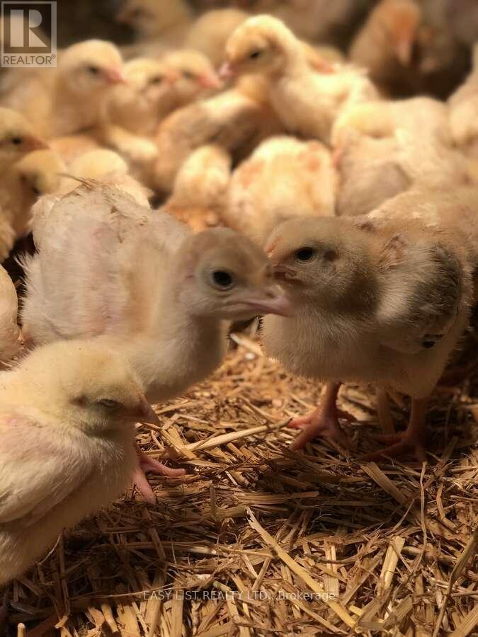 2170 Highway 520 W, Ryerson, Ontario  P0A 1C0 - Photo 35 - X12417643