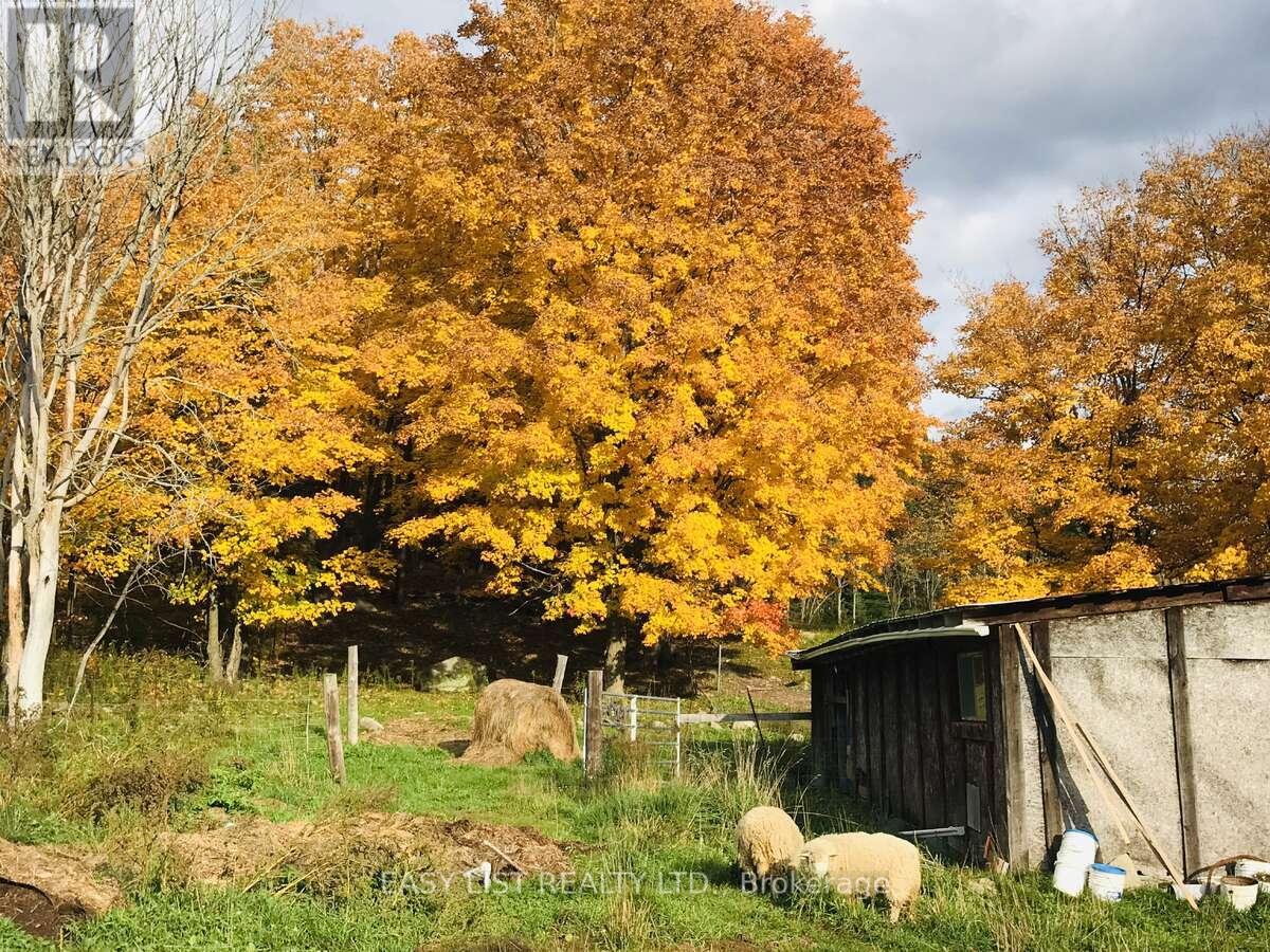 2170 Highway 520 W, Ryerson, Ontario  P0A 1C0 - Photo 36 - X12417643