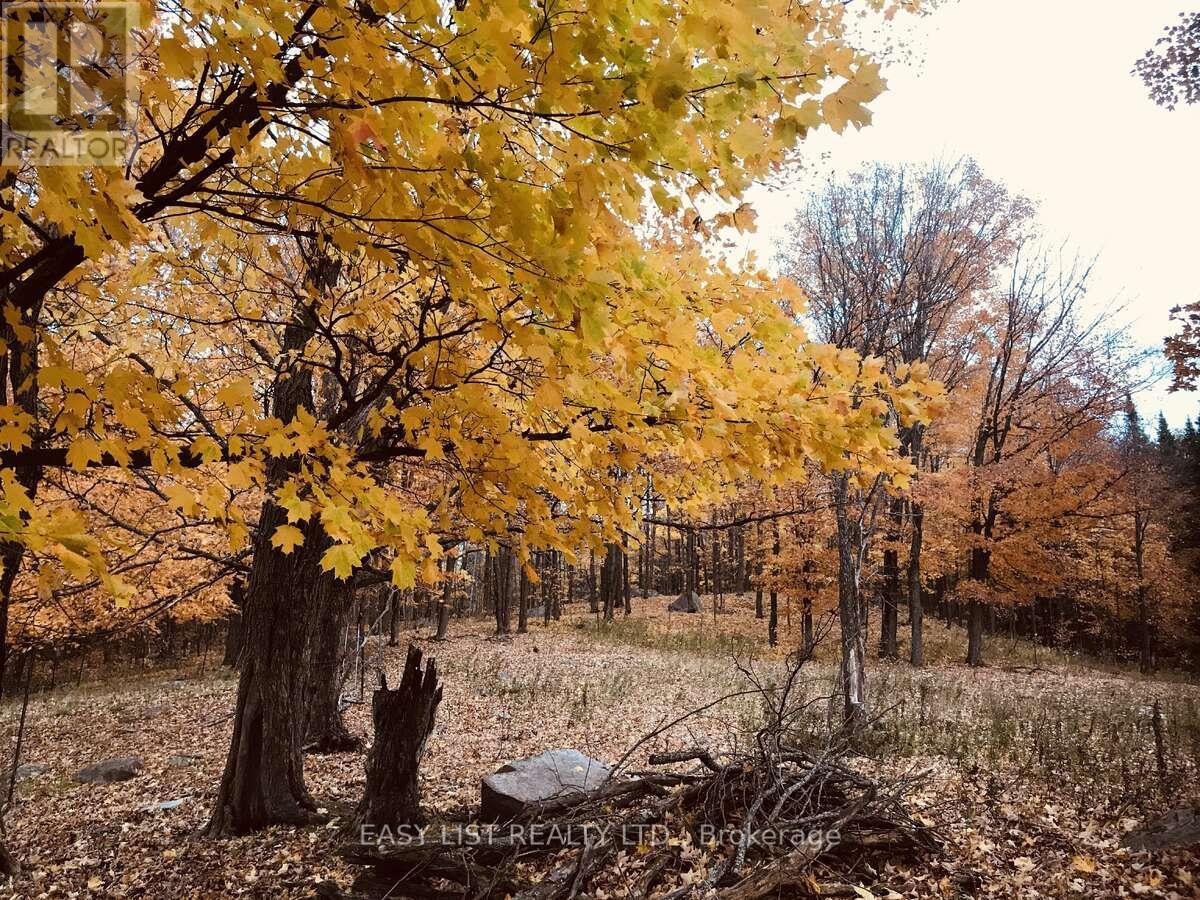 2170 Highway 520 W, Ryerson, Ontario  P0A 1C0 - Photo 38 - X12417643