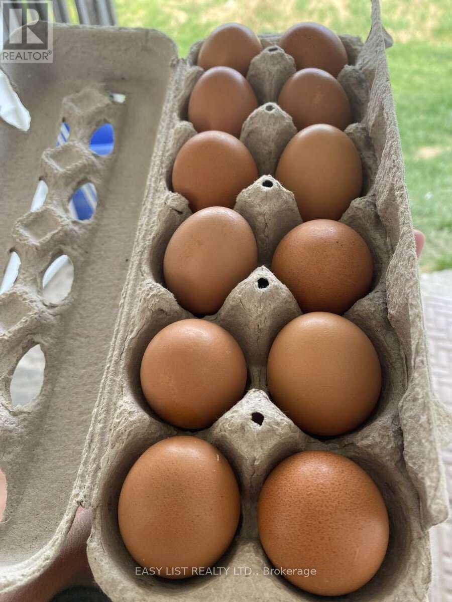 2170 Highway 520 W, Ryerson, Ontario  P0A 1C0 - Photo 41 - X12417643