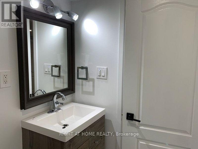 Basement - 731 Coldstream Drive, Oshawa, Ontario  L1K 2Z3 - Photo 8 - E12417674
