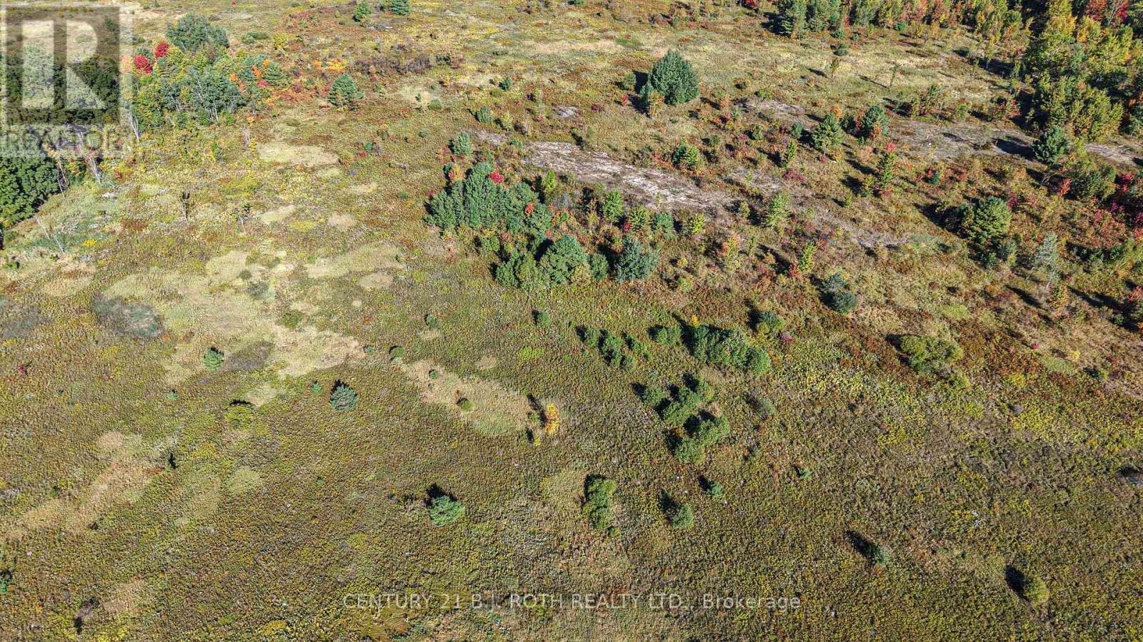 1969 Telford Line, Severn, Ontario  L3V 0W2 - Photo 12 - S12417301