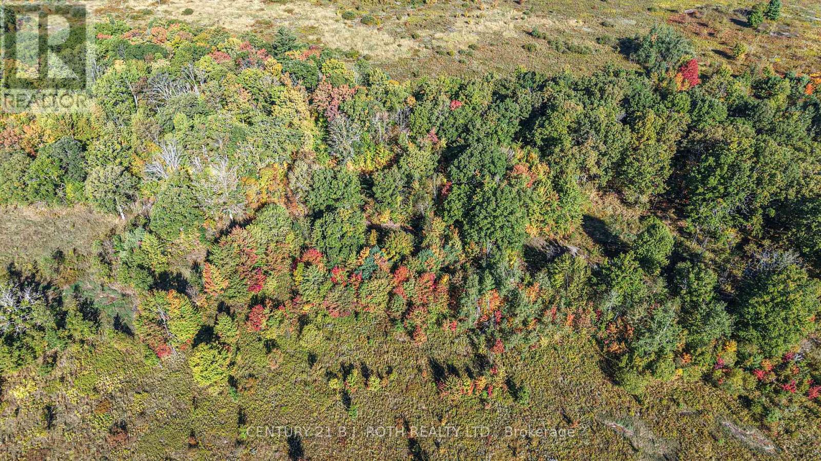 1969 Telford Line, Severn, Ontario  L3V 0W2 - Photo 15 - S12417301