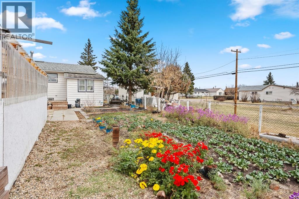 207 5 Avenue Se, Manning, Alberta  T0H 2M0 - Photo 29 - A2127353