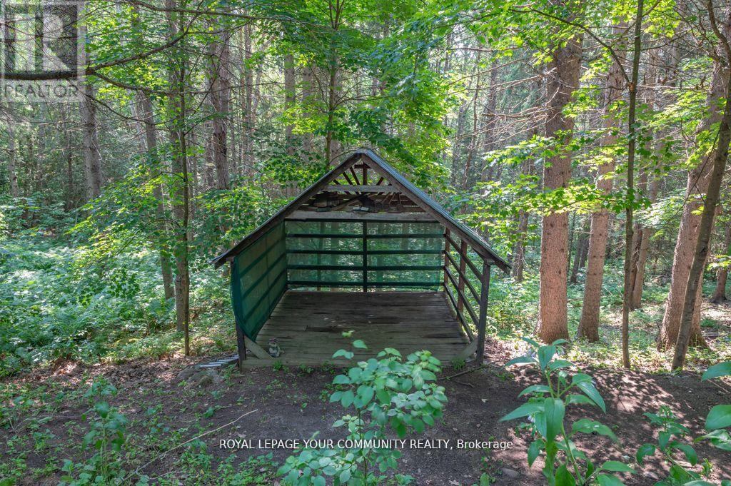 9297 Highway 118 E, Minden Hills, Ontario  K0M 1J2 - Photo 3 - X12417807