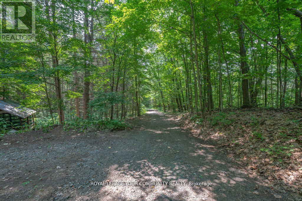 9297 Highway 118 E, Minden Hills, Ontario  K0M 1J2 - Photo 38 - X12417807