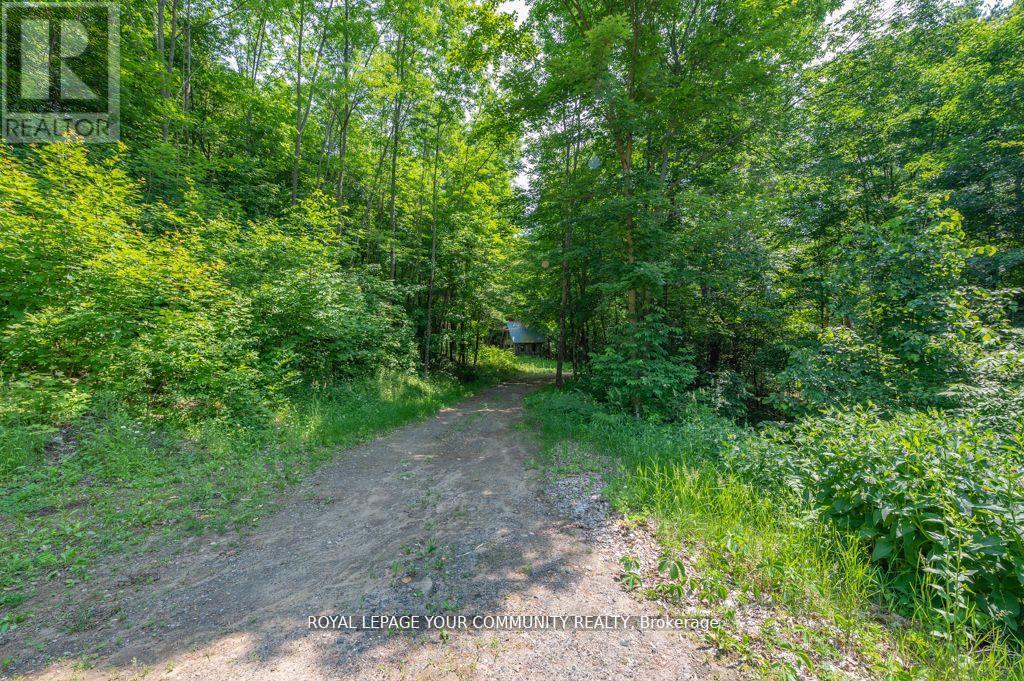 9297 Highway 118 E, Minden Hills, Ontario  K0M 1J2 - Photo 39 - X12417807