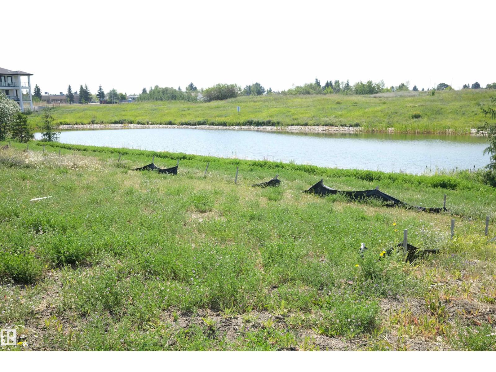 9223 156 Av Nw, Edmonton, Alberta  T5Z 0S4 - Photo 4 - E4458855