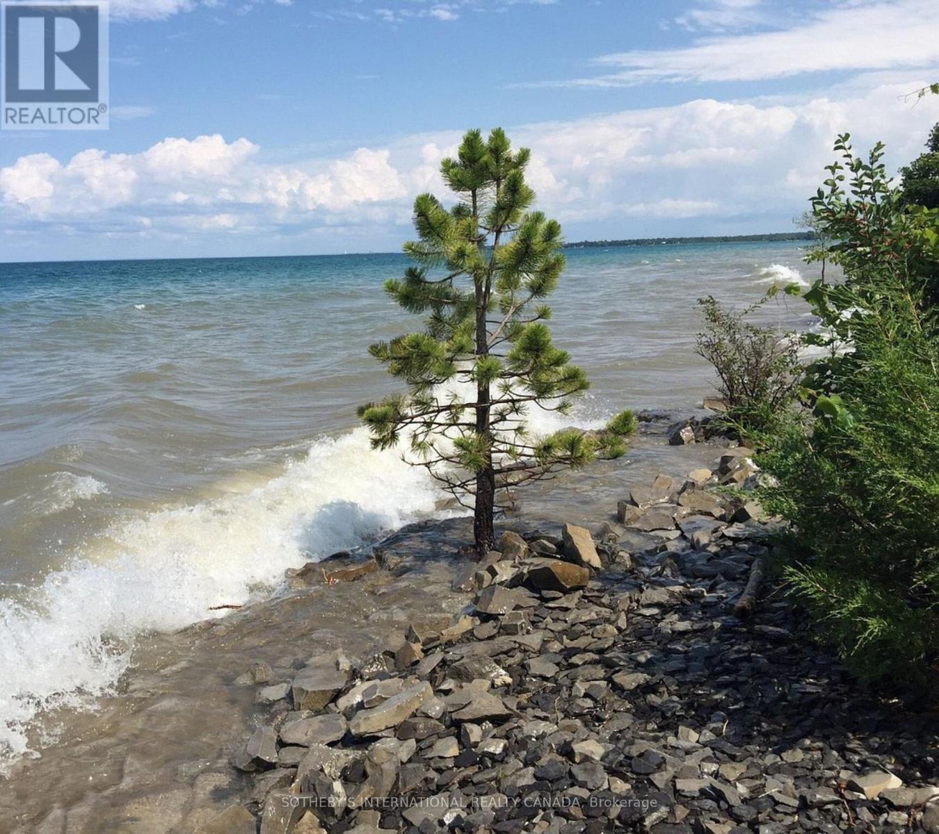 101 Millennium Way E, Blue Mountains, Ontario  L9Y 0V1 - Photo 45 - X12417810