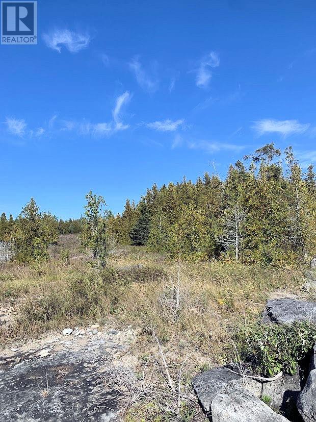 356 Cedar Tree Trail, Manitoulin Island, Ontario  P0P 1Y0 - Photo 28 - 2124811
