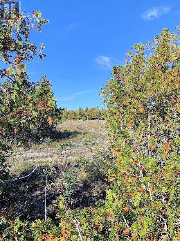 356 Cedar Tree Trail, Manitoulin Island, Ontario  P0P 1Y0 - Photo 7 - 2124811