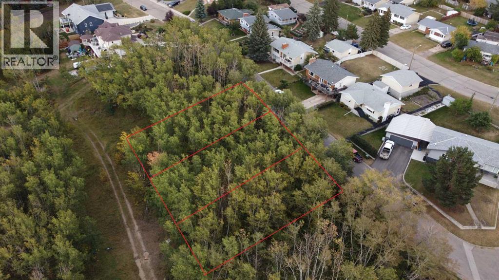 5007, 5009, 5011 42b Street, Ponoka, Alberta  T4J 1C4 - Photo 2 - A2257843