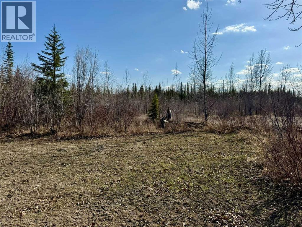 45, 4136 Highway 587, Rural Red Deer County, Alberta  T0M 1C0 - Photo 13 - A2216464
