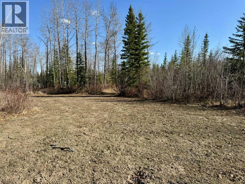 45, 4136 Highway 587, Rural Red Deer County, Alberta  T0M 1C0 - Photo 14 - A2216464