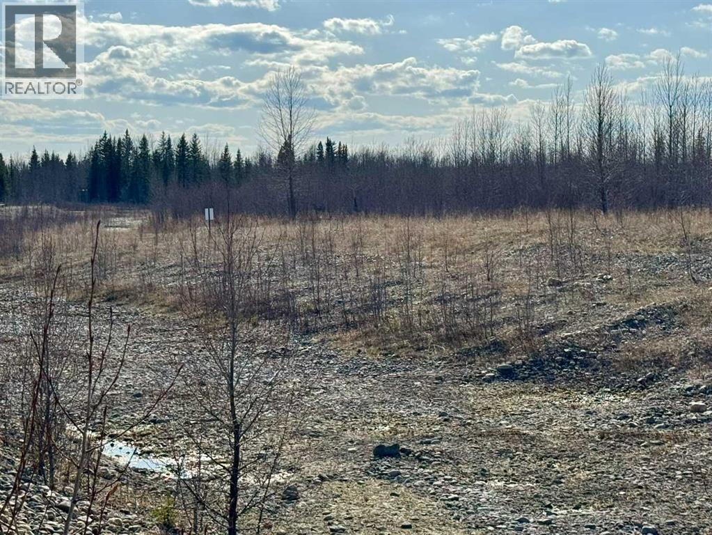 45, 4136 Highway 587, Rural Red Deer County, Alberta  T0M 1C0 - Photo 10 - A2216464