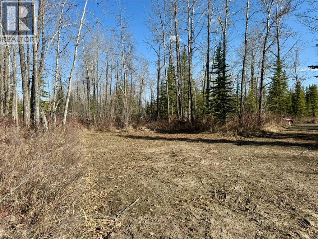 45, 4136 Highway 587, Rural Red Deer County, Alberta  T0M 1C0 - Photo 15 - A2216464