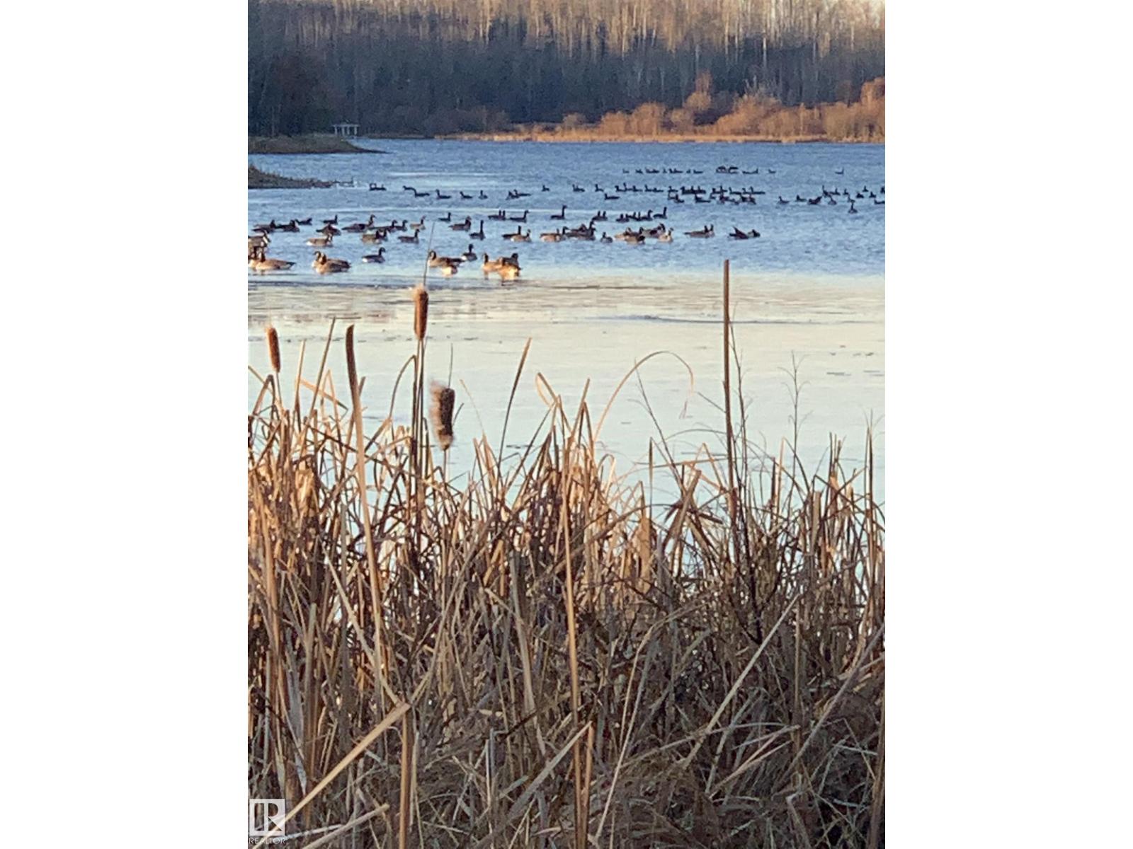 103 2307 Twp 522, Rural Parkland County, Alberta  T7Y 3L7 - Photo 15 - E4440184