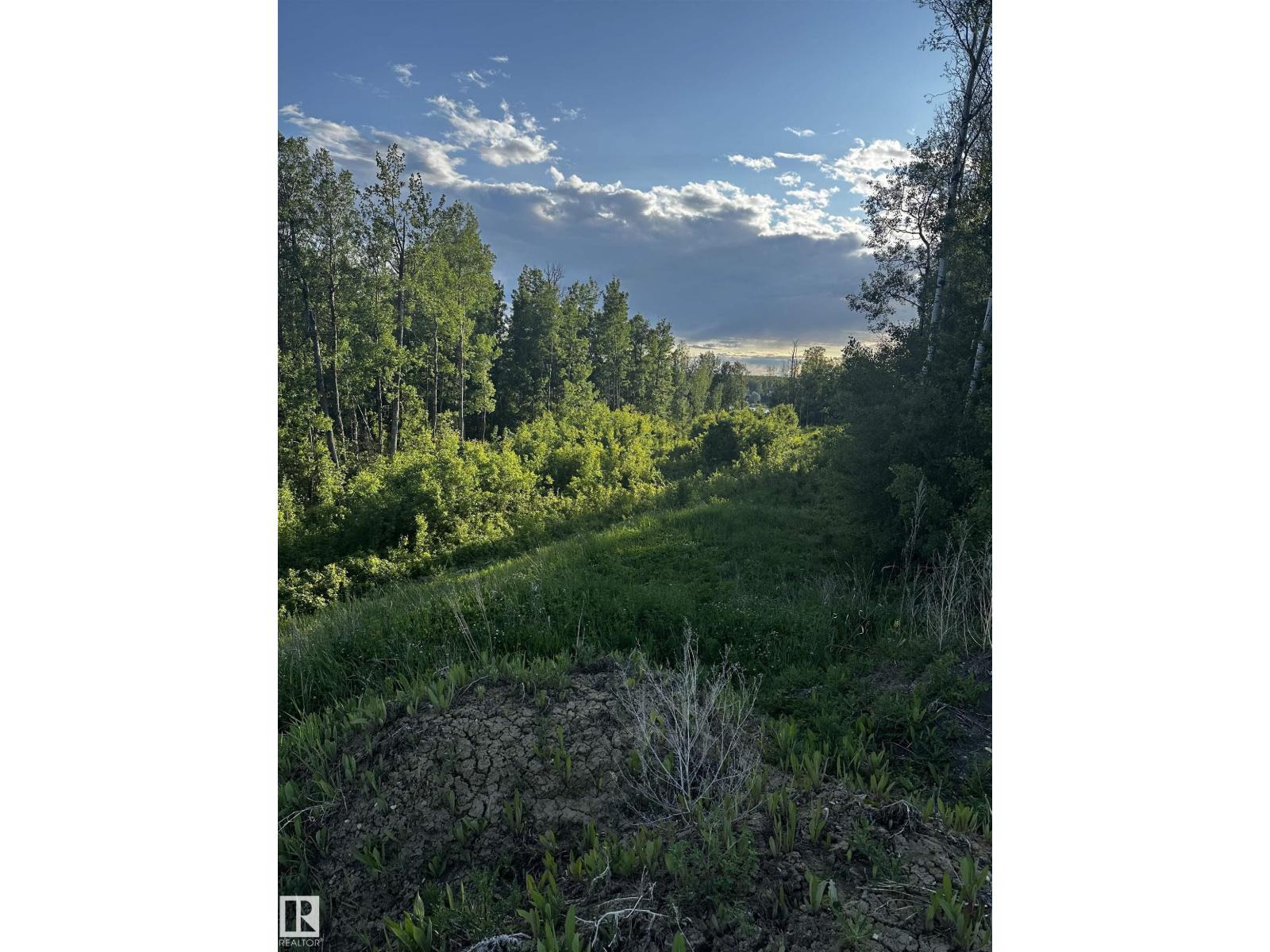 103 2307 Twp 522, Rural Parkland County, Alberta  T7Y 3L7 - Photo 4 - E4440184